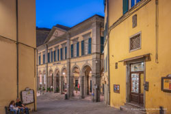  cortona